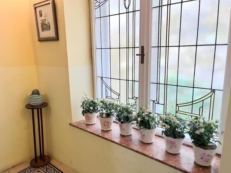 Apartment Alexandercharmante Mit Bergblick, Alexander